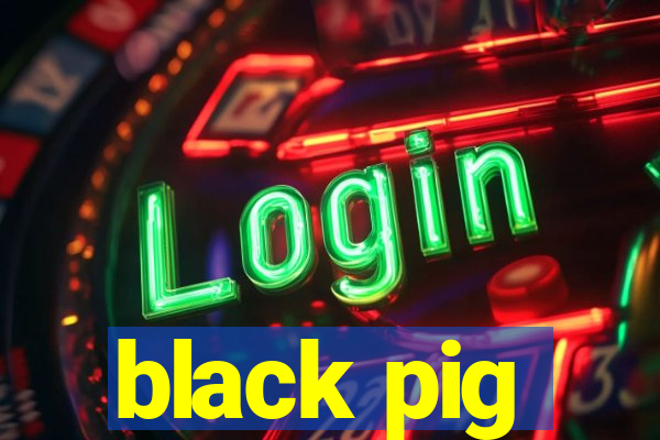 black pig