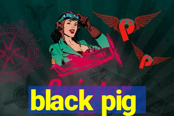 black pig