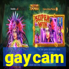 gaycam