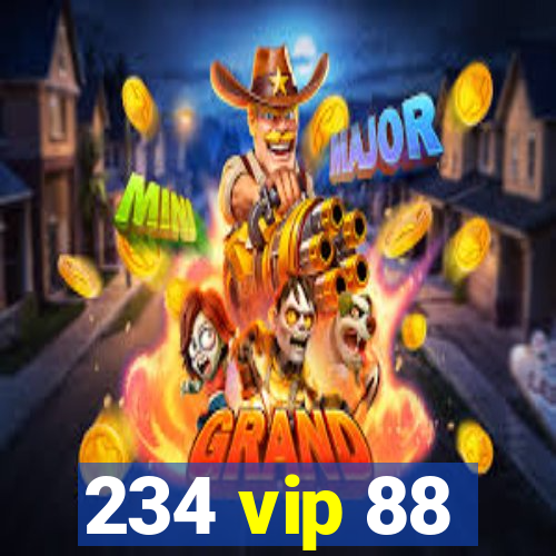 234 vip 88