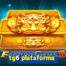 tg6 plataforma