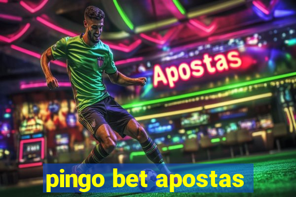 pingo bet apostas