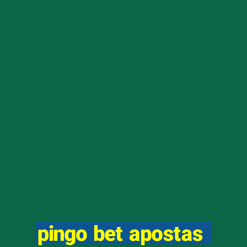 pingo bet apostas