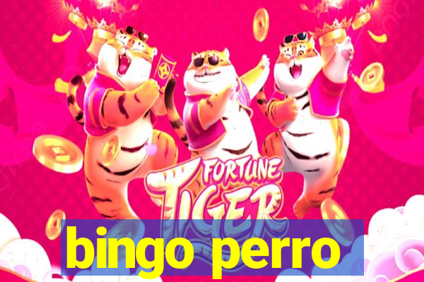 bingo perro