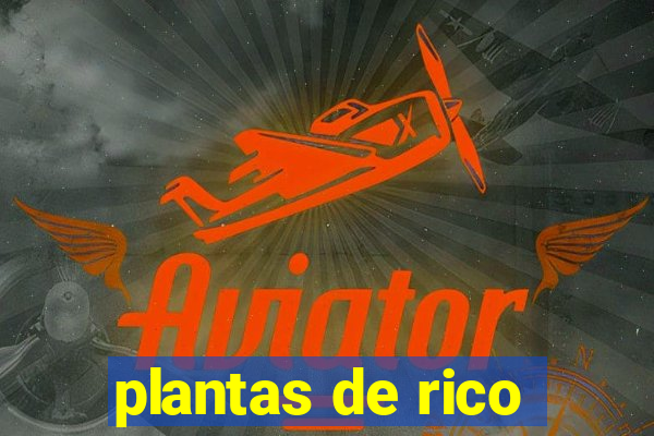 plantas de rico