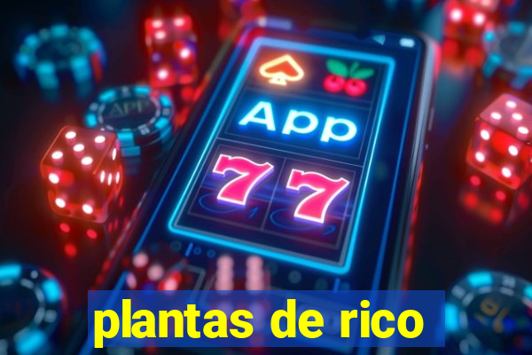 plantas de rico