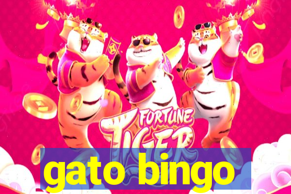 gato bingo