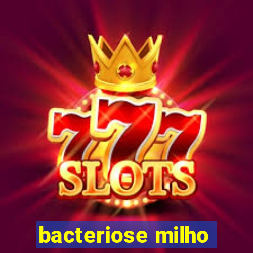 bacteriose milho