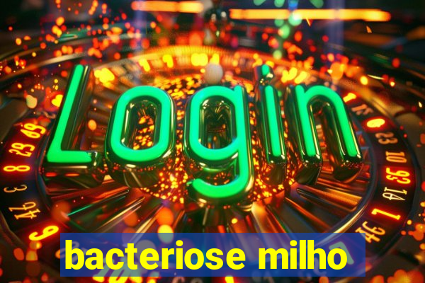 bacteriose milho