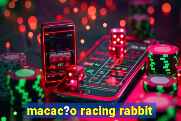 macac?o racing rabbit