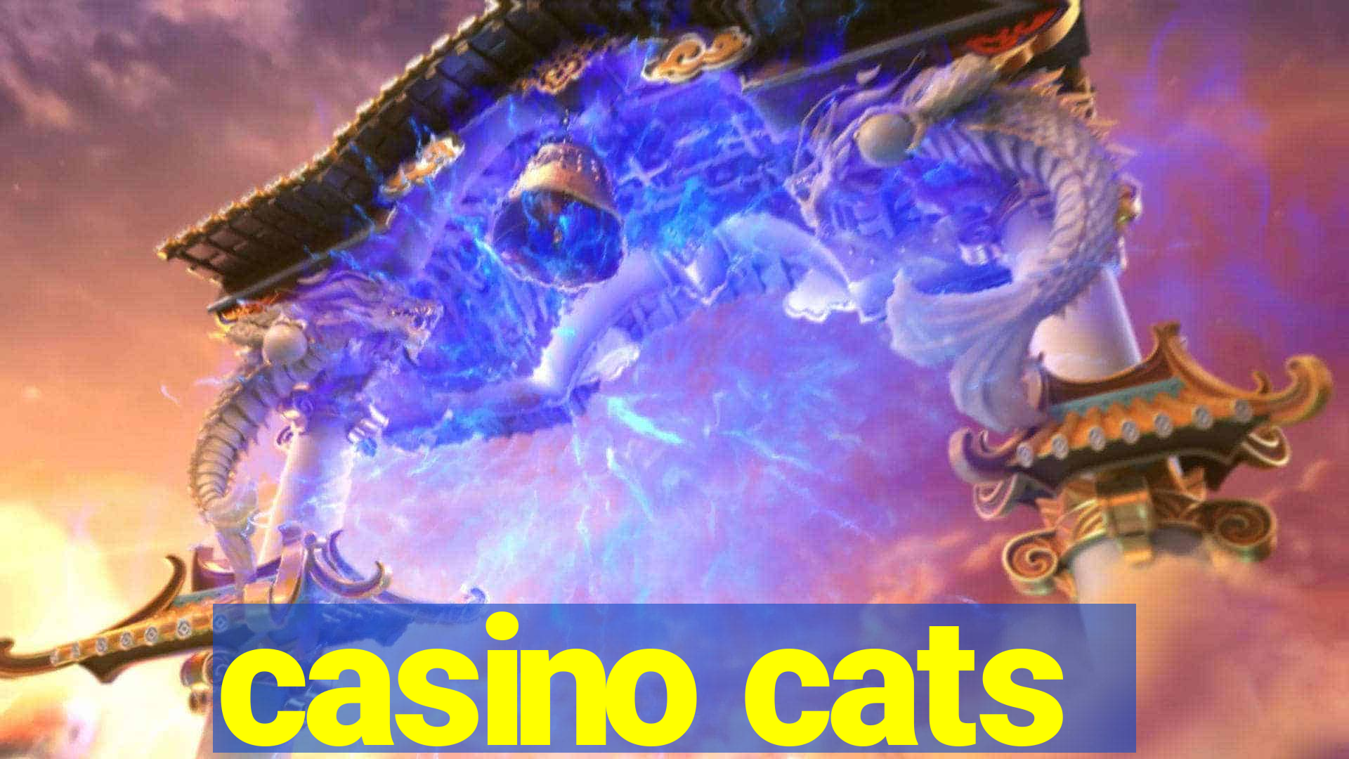 casino cats