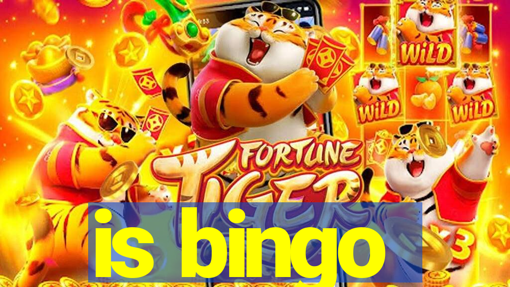 is bingo