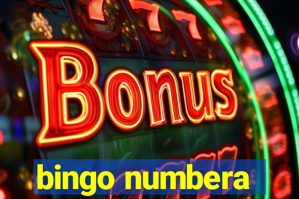 bingo numbera