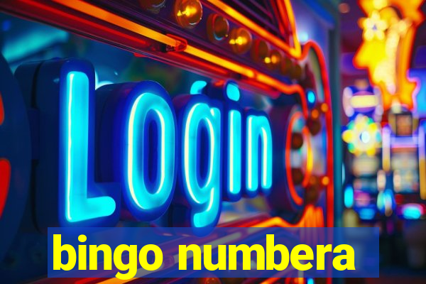 bingo numbera