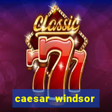 caesar windsor casino hotel