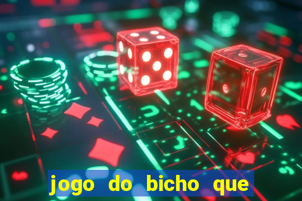 jogo do bicho que paga no pix