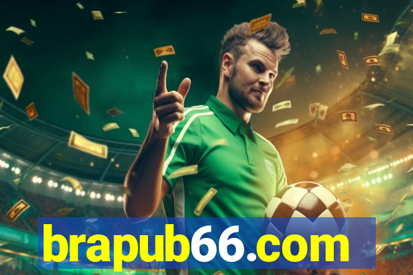 brapub66.com