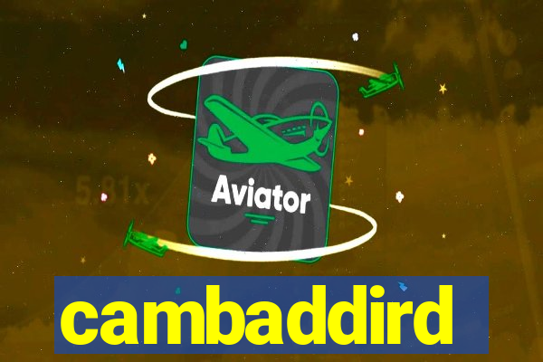 cambaddird