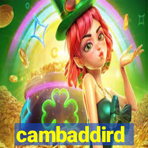 cambaddird