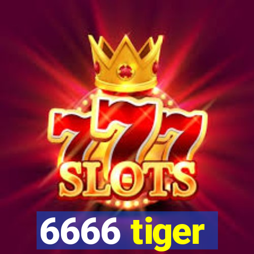 6666 tiger