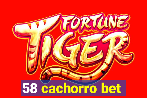 58 cachorro bet