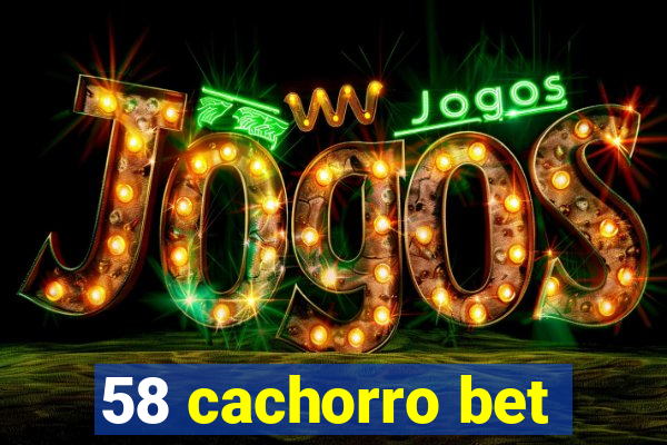 58 cachorro bet