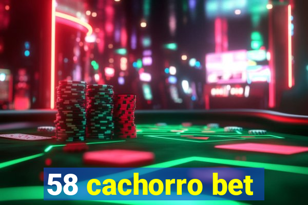 58 cachorro bet