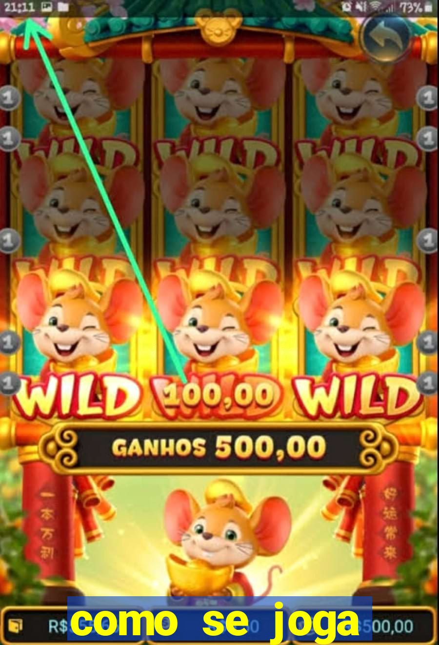 como se joga roleta casino