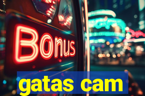 gatas cam