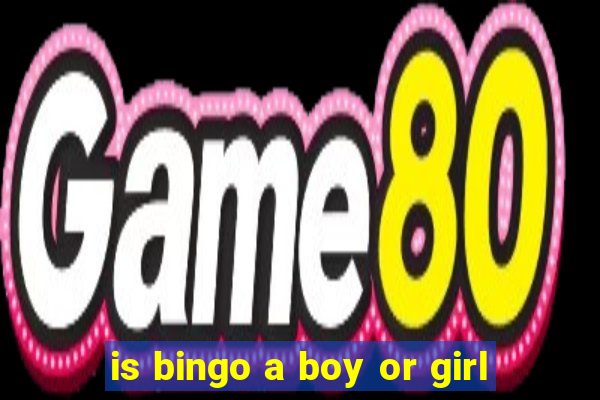 is bingo a boy or girl