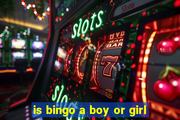 is bingo a boy or girl