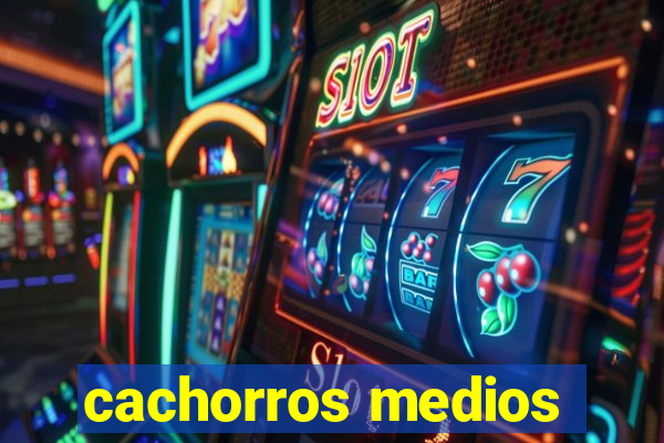 cachorros medios