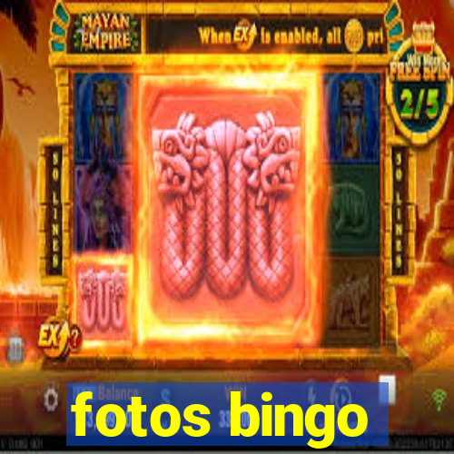 fotos bingo