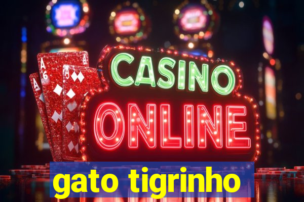 gato tigrinho