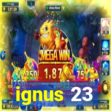 ignus 23