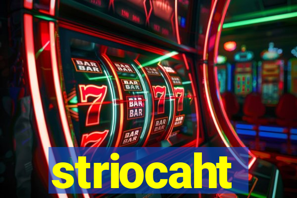 striocaht