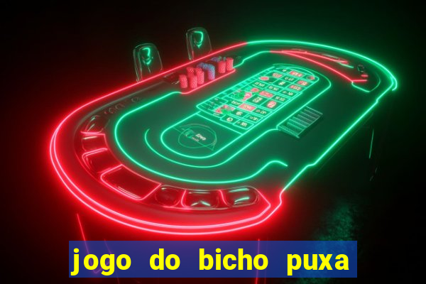 jogo do bicho puxa de dona maria