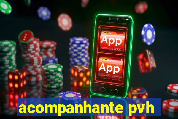 acompanhante pvh