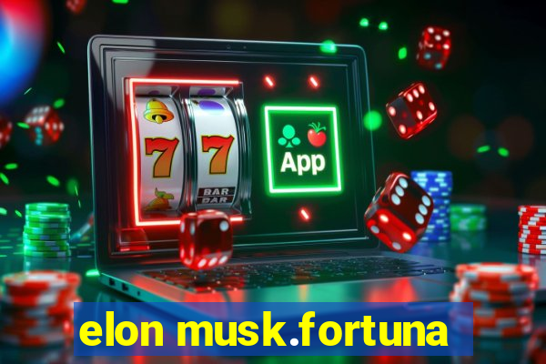 elon musk.fortuna