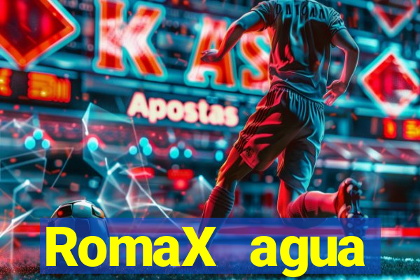 RomaX agua sanitaria fispq agua sanitaria romax