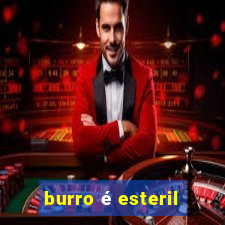 burro é esteril