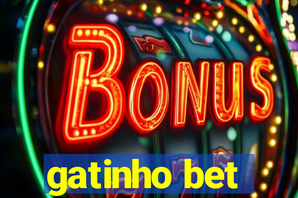 gatinho bet