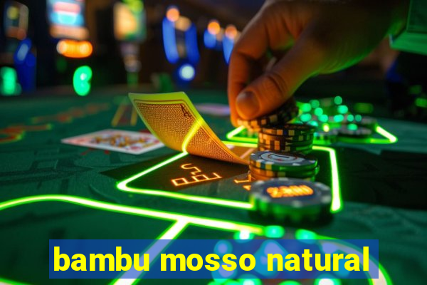 bambu mosso natural