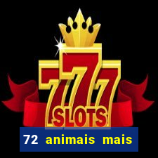 72 animais mais perigosos do mundo