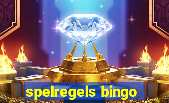 spelregels bingo