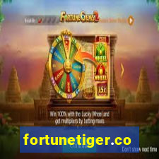 fortunetiger.com