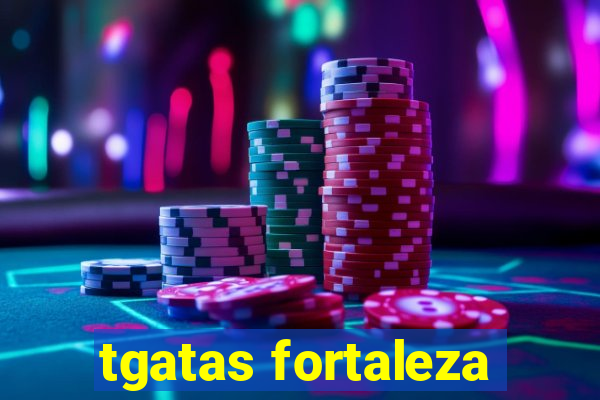 tgatas fortaleza