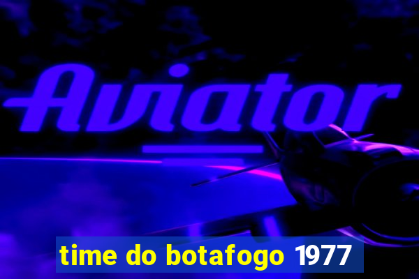 time do botafogo 1977