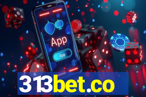 313bet.co