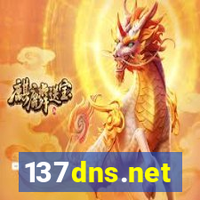 137dns.net